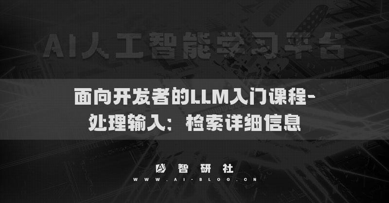 面向開發(fā)者的LLM入門課程-處理輸入：檢索詳細(xì)信息
