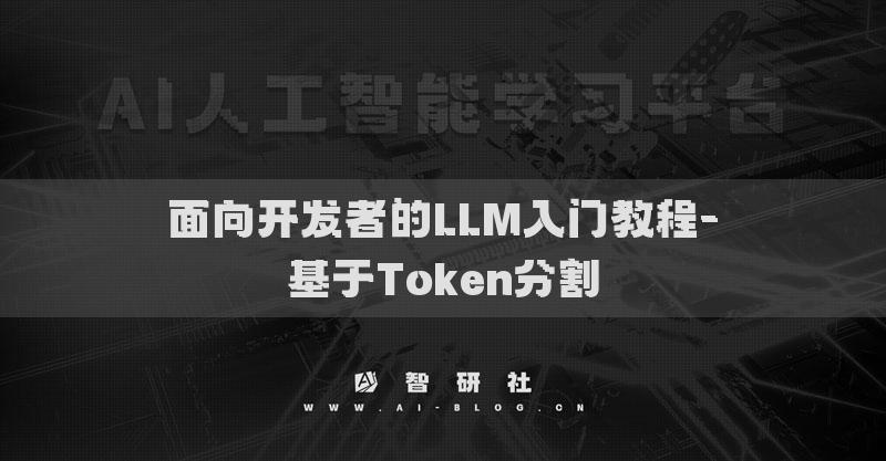 面向開(kāi)發(fā)者的LLM入門(mén)教程-基于Token分割