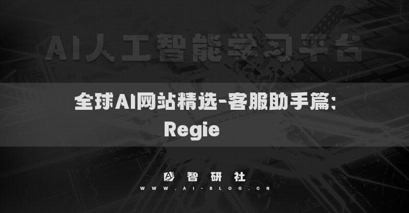 全球AI網(wǎng)站精選-客服助手篇：Regie???