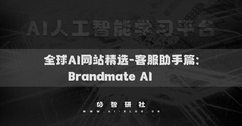 全球AI網(wǎng)站精選-客服助手篇：Brandmate AI????