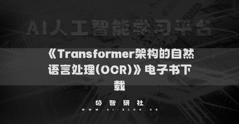 《Transformer架構(gòu)的自然語言處理(OCR)》電子書下載