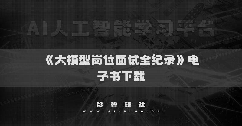 《大模型崗位面試全紀錄》電子書下載