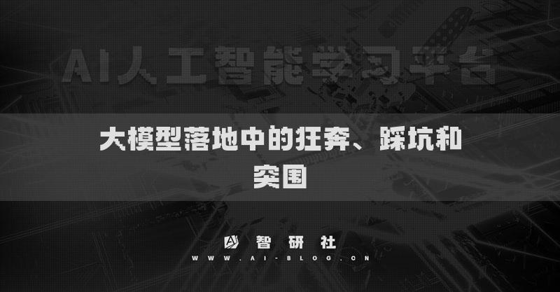 大模型落地中的狂奔、踩坑和突圍