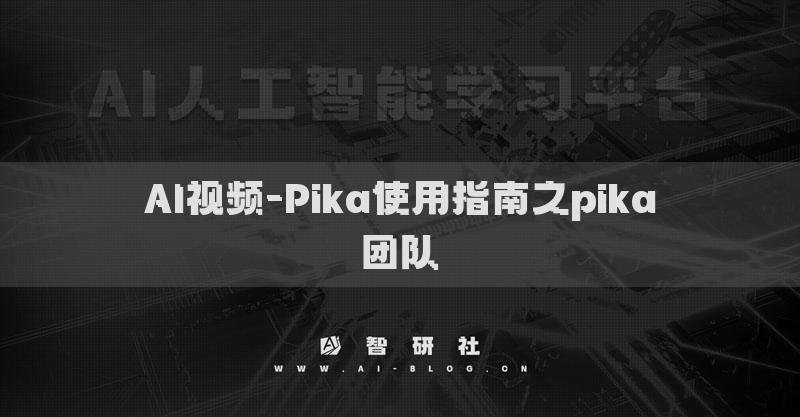 AI視頻-Pika使用指南之pika團隊