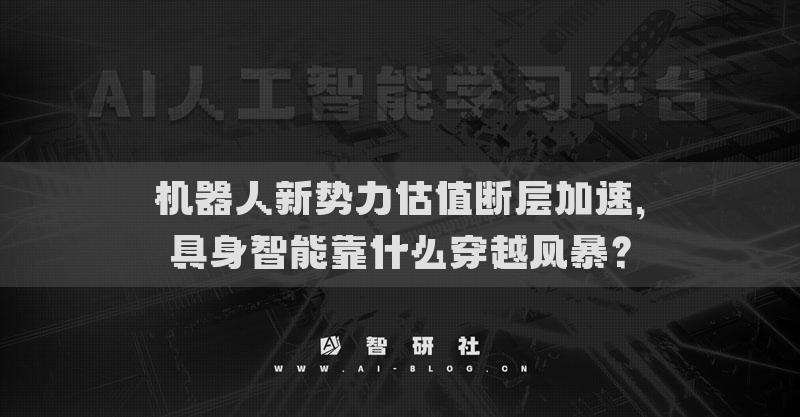 機(jī)器人新勢(shì)力估值斷層加速，具身智能靠什么穿越風(fēng)暴？
