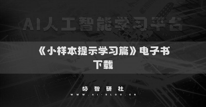 《小樣本提示學(xué)習(xí)篇》電子書下載