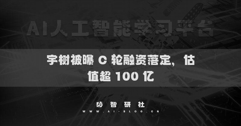 宇樹(shù)被曝 C 輪融資落定，估值超 100 億